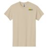 Heavy Cotton ™ 100% Cotton T Shirt Thumbnail